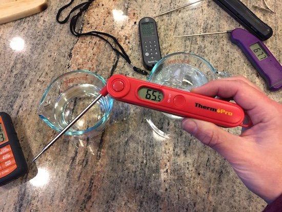 ThermPro Instant Grilling Thermometer Review