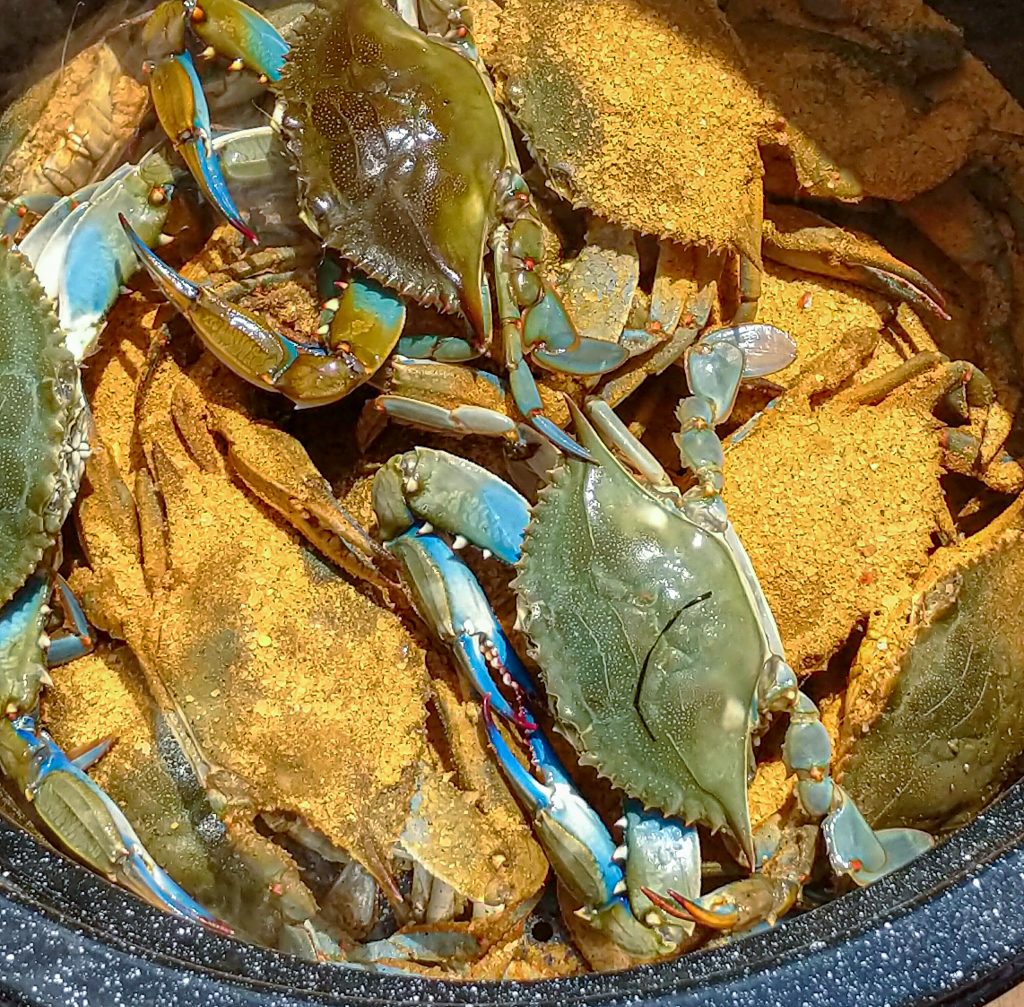 Steamed Crabs Seasoned with J. O. Spice