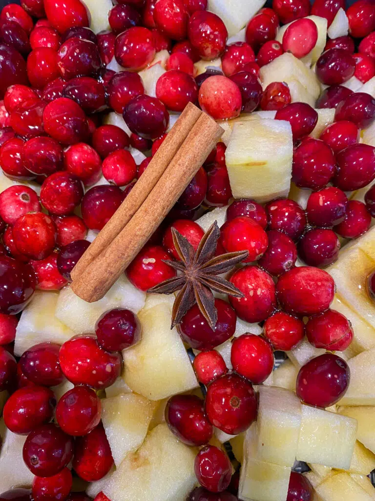 Cranberry apple chutney with cinnamon sticks and star anise 