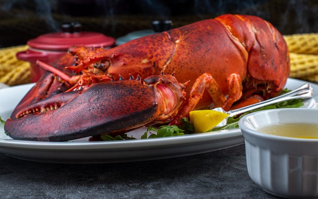 Boiled lobster at home with drawn butter