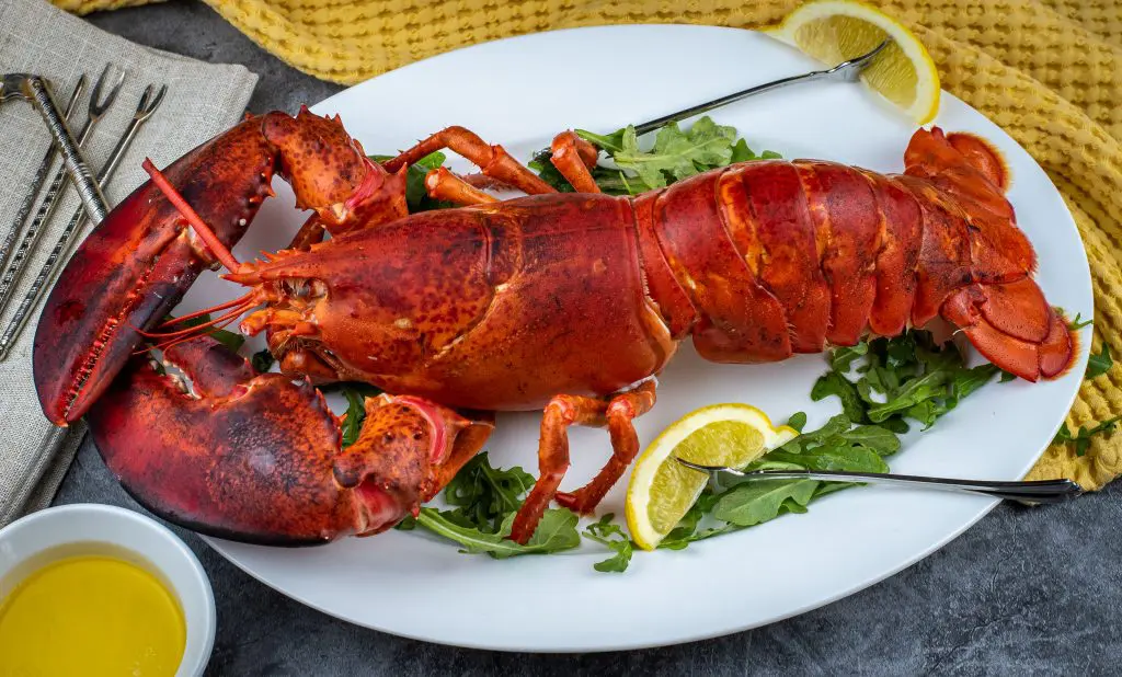 Cold water lobster served on a plater with drawn butter and lemon wedges