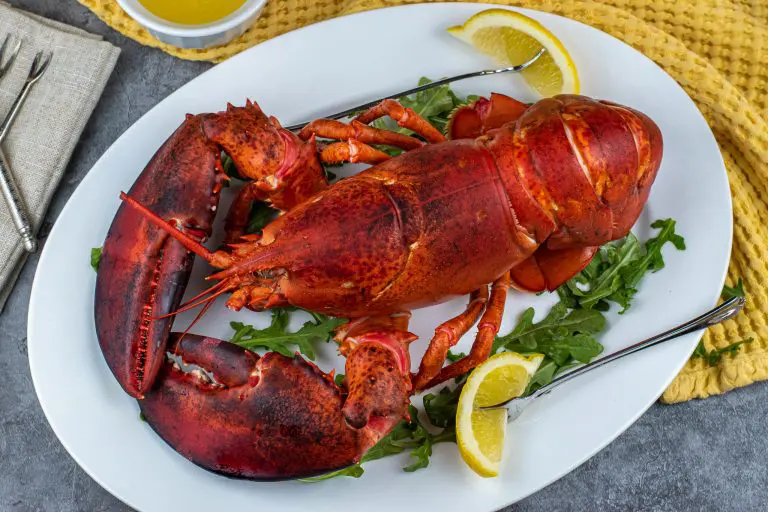 Cold water lobster served on a plater with drawn butter and lemon wedges