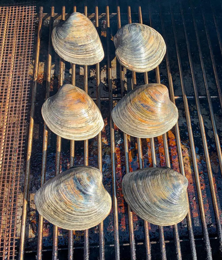 cherrystone clams on a pellet grill fro clams casino