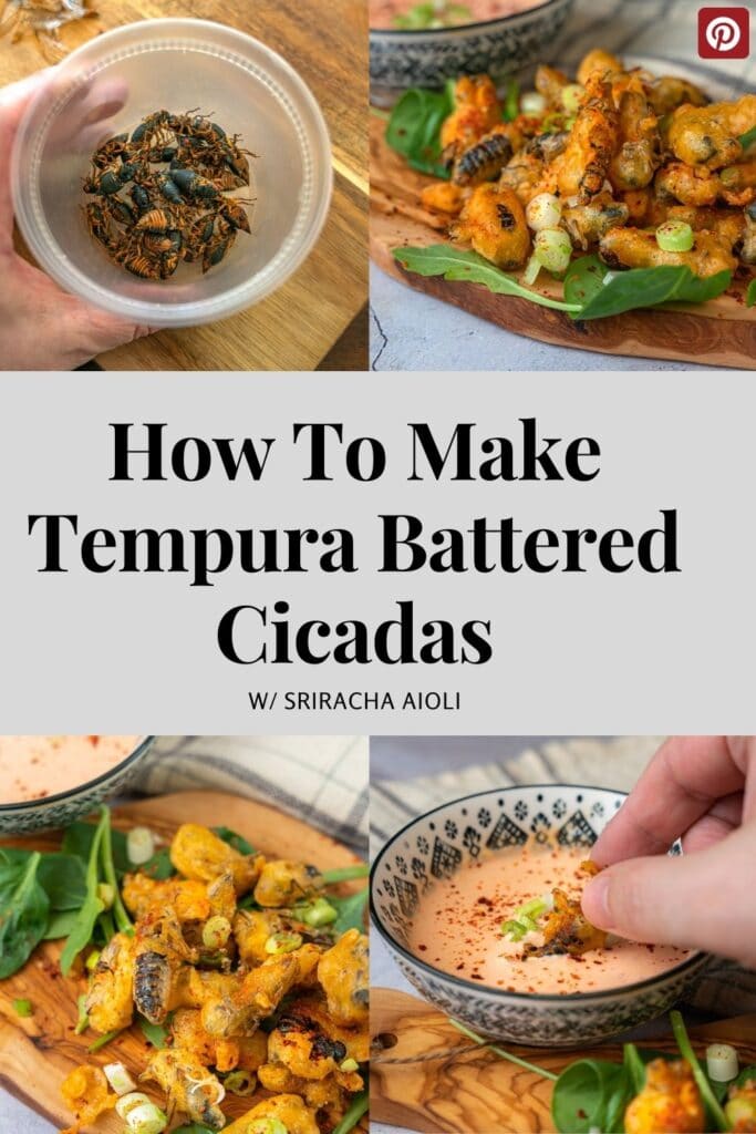 wow to make tempura battered cicada recipe