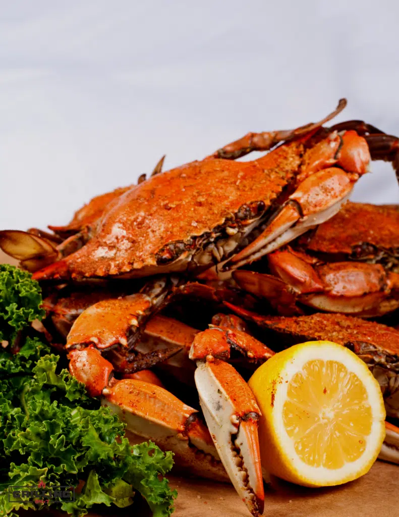 Maryland blue crabs steamed and piled up